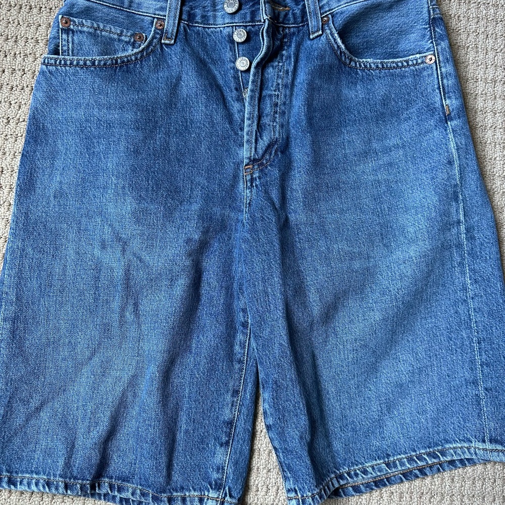 Agolde Classic Blue Denim